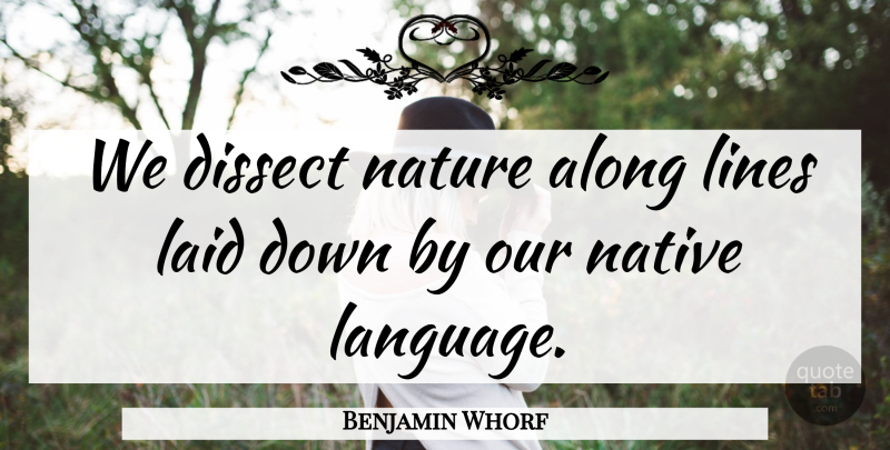 Benjamin Whorf Quote About Along, Dissect, Laid, Native, Nature: We Dissect Nature Along Lines...