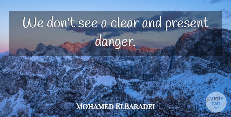 Mohamed ElBaradei Quote About Clear, Present: We Dont See A Clear...