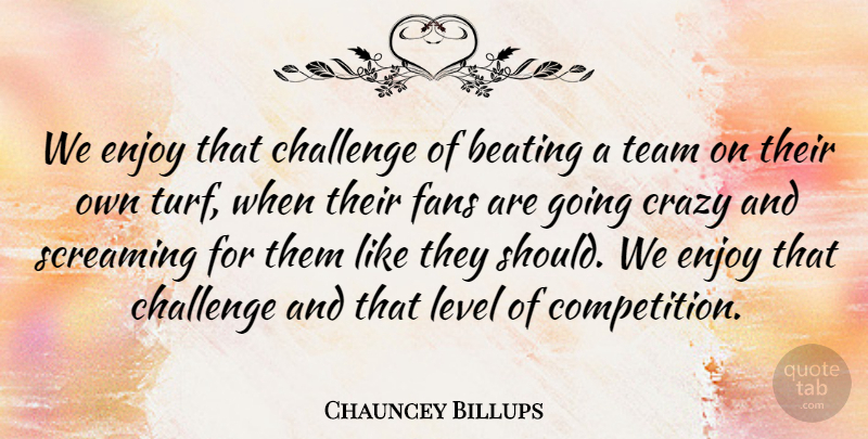 Chauncey Billups Quote About Beating, Challenge, Crazy, Enjoy, Fans: We Enjoy That Challenge Of...