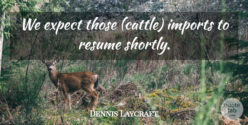 Dennis Laycraft Quote About Expect, Imports, Resume: We Expect Those Cattle Imports...