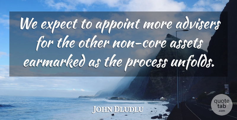 John Dludlu Quote About Assets, Expect, Process: We Expect To Appoint More...