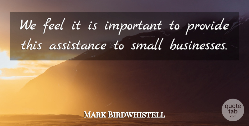 Mark Birdwhistell Quote About Assistance, Provide, Small: We Feel It Is Important...