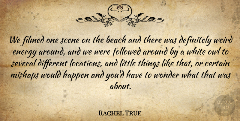 Rachel True Quote About Certain, Definitely, Followed, Happen, Owl: We Filmed One Scene On...