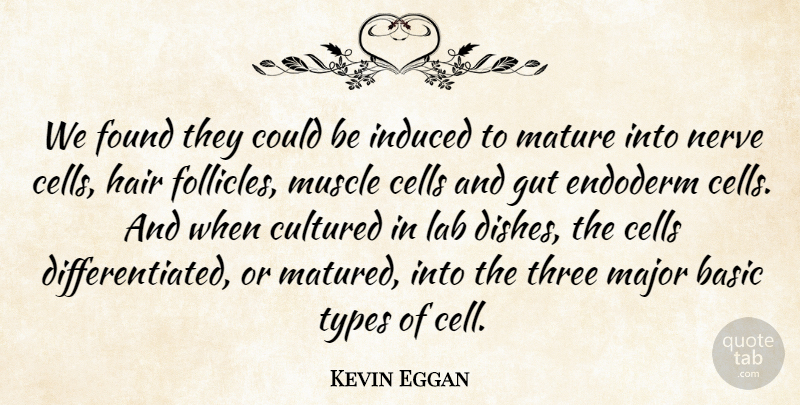 Kevin Eggan Quote About Basic, Cells, Cultured, Found, Gut: We Found They Could Be...