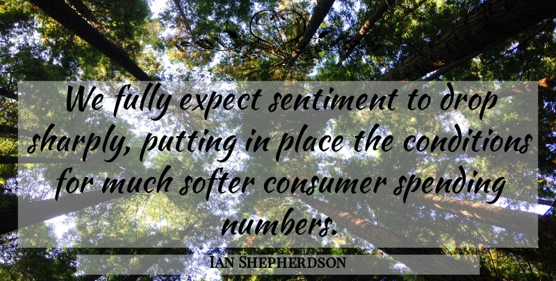 Ian Shepherdson Quote About Conditions, Consumer, Drop, Expect, Fully: We Fully Expect Sentiment To...