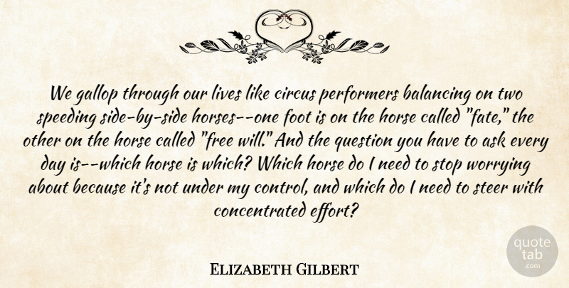 Elizabeth Gilbert Quote About Horse, Fate, Two: We Gallop Through Our Lives...