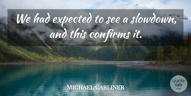 Michael Carliner Quote About Expected: We Had Expected To See...