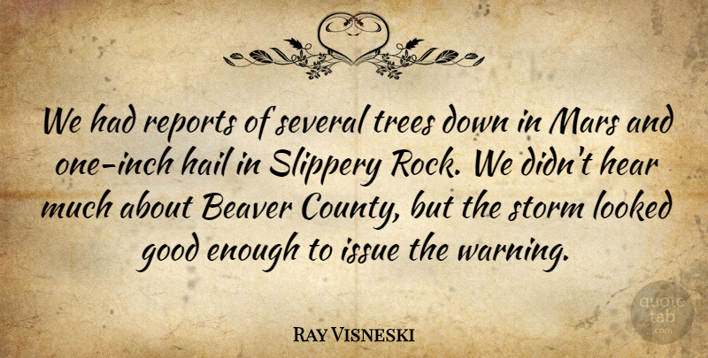 Ray Visneski Quote About Beaver, Good, Hail, Hear, Issue: We Had Reports Of Several...