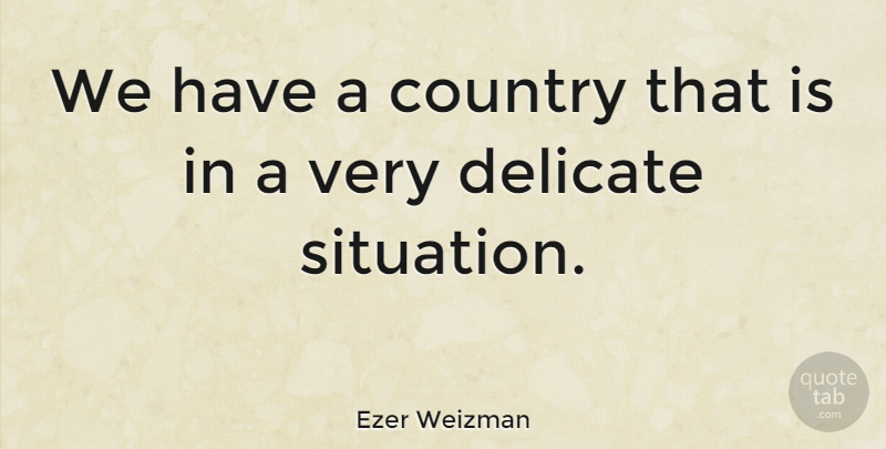 Ezer Weizman Quote About Country: We Have A Country That...