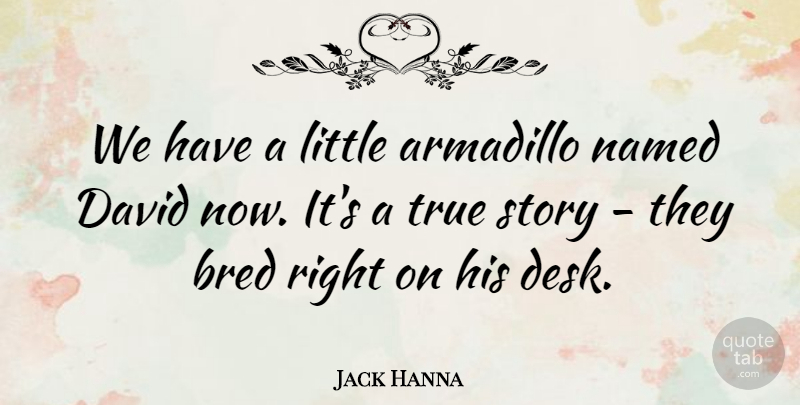 Jack Hanna Quote About Bred, David, Named, True: We Have A Little Armadillo...