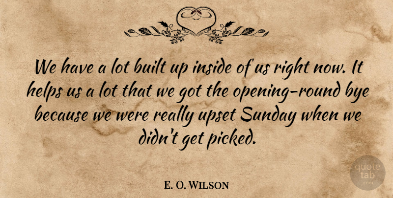 E. O. Wilson Quote About Built, Helps, Inside, Sunday, Upset: We Have A Lot Built...