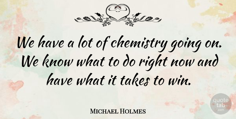 Michael Holmes Quote About Chemistry, Takes: We Have A Lot Of...
