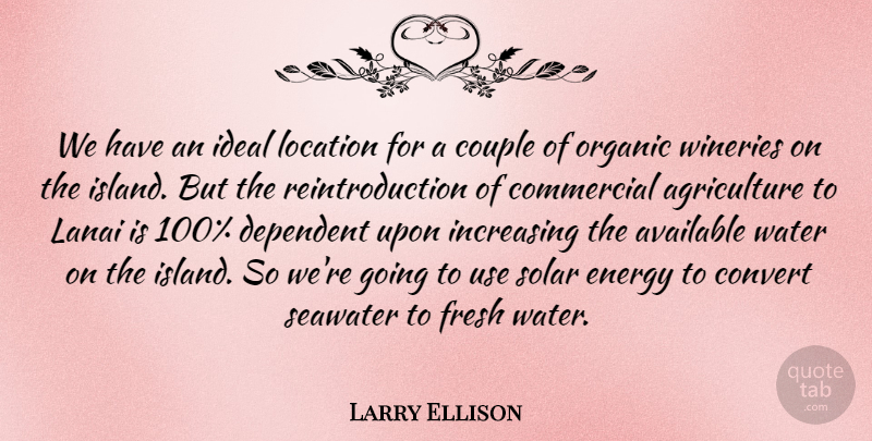 Larry Ellison Quote About Available, Commercial, Convert, Couple, Dependent: We Have An Ideal Location...