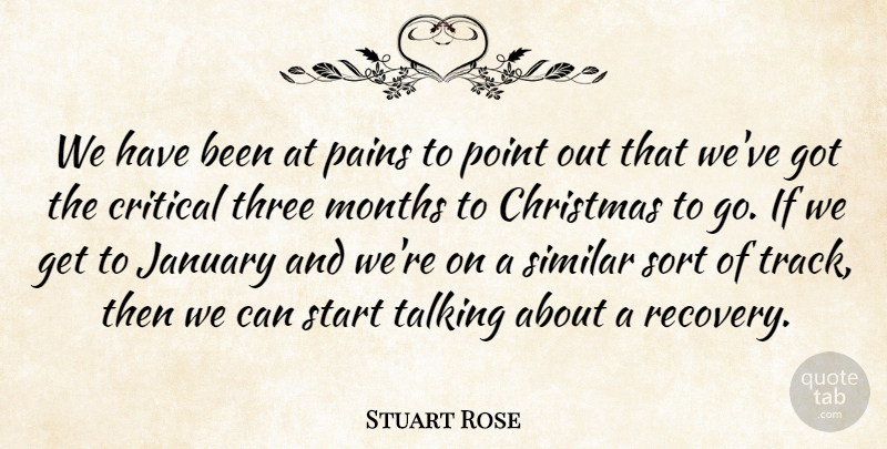 Stuart Rose Quote About Christmas, Critical, January, Months, Pains: We Have Been At Pains...