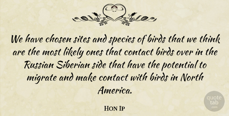 Hon Ip Quote About Birds, Chosen, Contact, Likely, North: We Have Chosen Sites And...