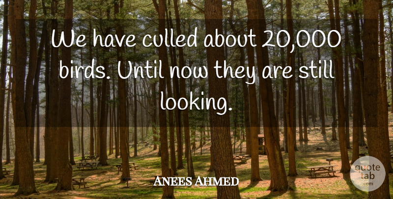 Anees Ahmed Quote About Until: We Have Culled About 20...