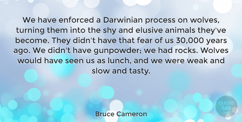 Bruce Cameron Quote About Darwinian, Elusive, Enforced, Fear, Process: We Have Enforced A Darwinian...