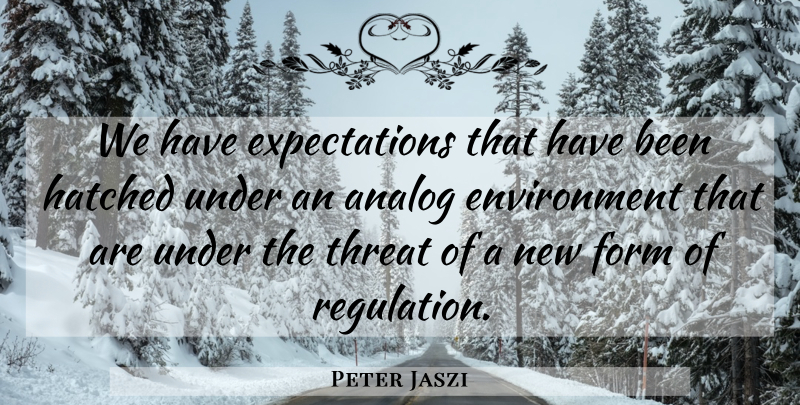 Peter Jaszi Quote About Analog, Environment, Form, Hatched, Threat: We Have Expectations That Have...