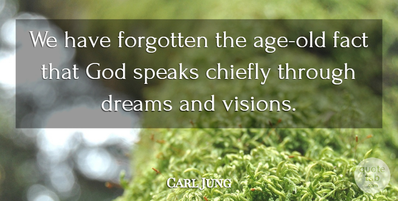 Carl Jung Quote About Dream, Vision, Age: We Have Forgotten The Age...