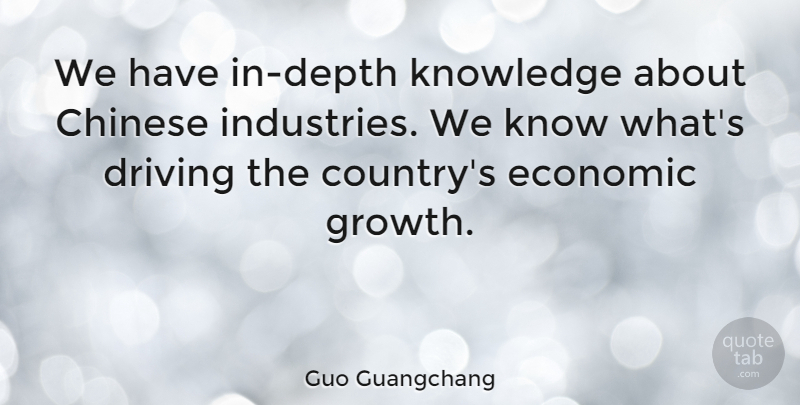 Guo Guangchang Quote About Chinese, Economic, Knowledge: We Have In Depth Knowledge...