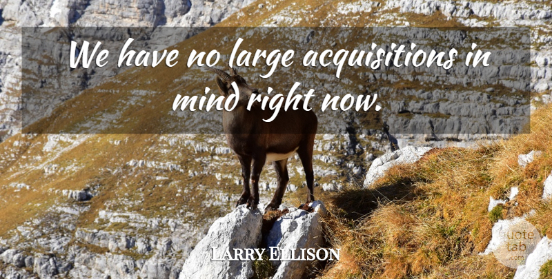 Larry Ellison Quote About Large, Mind: We Have No Large Acquisitions...