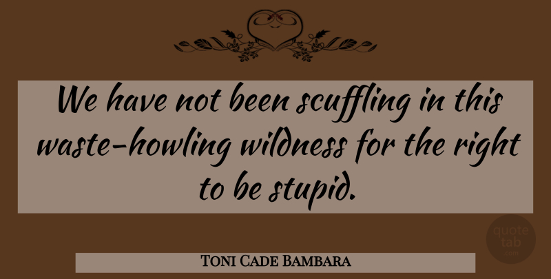 Toni Cade Bambara Quote About Stupid, Stupidity, Waste: We Have Not Been Scuffling...