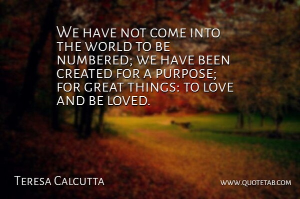 Mother Teresa Quote About World, Purpose, Great Things: We Have Not Come Into...