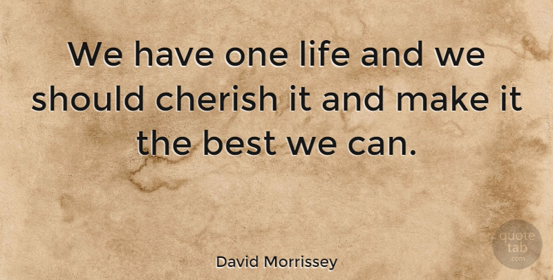 David Morrissey Quote About Cherish, Should: We Have One Life And...