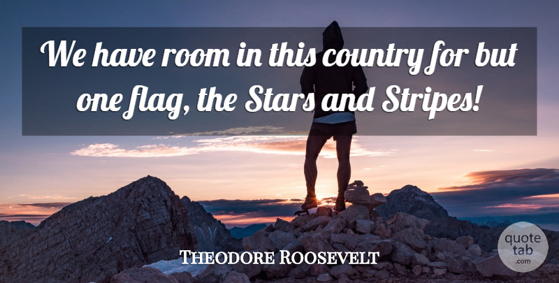 Theodore Roosevelt Quote About Country, Stars, Military: We Have Room In This...