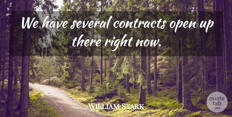 William Stark Quote About Contracts, Open, Several: We Have Several Contracts Open...