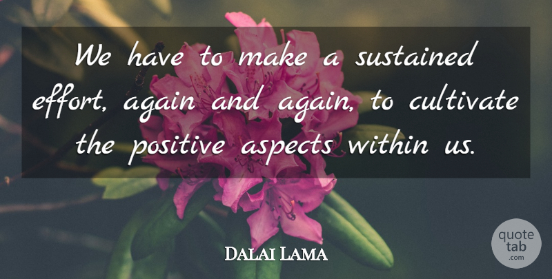 Dalai Lama Quote About Effort, Aspect, Again And Again: We Have To Make A...