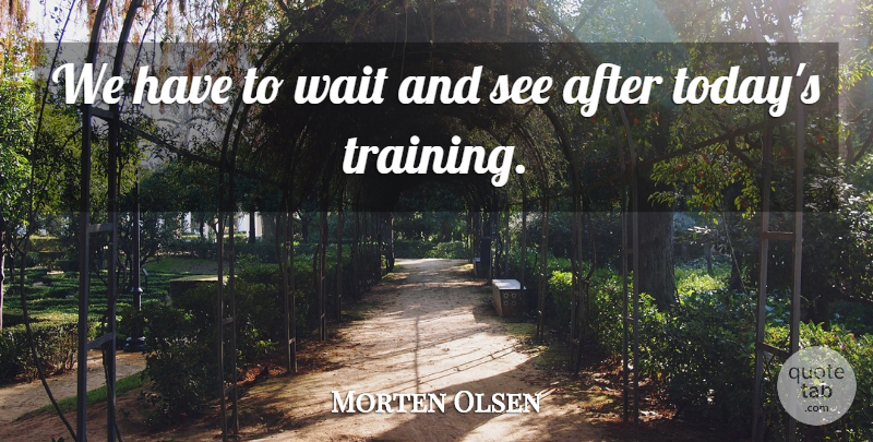 Morten Olsen Quote About Wait: We Have To Wait And...