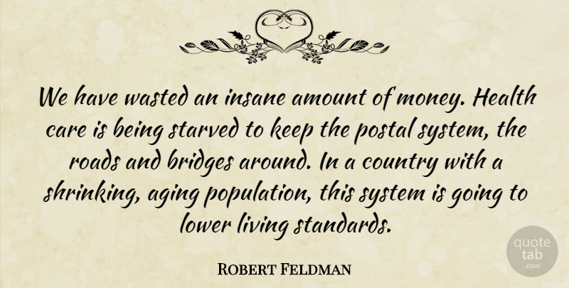 Robert Feldman Quote About Aging, Amount, Bridges, Care, Country: We Have Wasted An Insane...