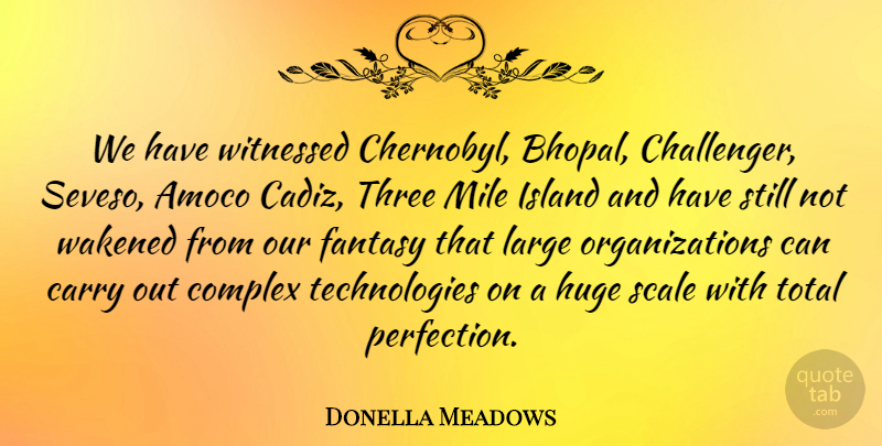 Donella Meadows Quote About Carry, Complex, Huge, Island, Large: We Have Witnessed Chernobyl Bhopal...