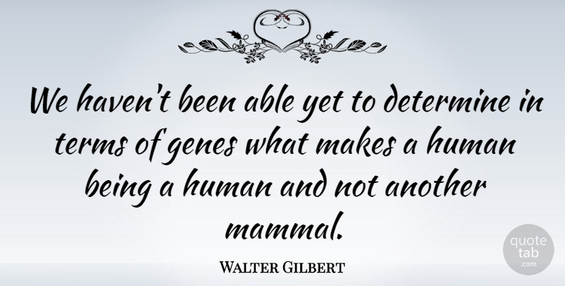 Walter Gilbert Quote About Able, Mammals, Genes: We Havent Been Able Yet...