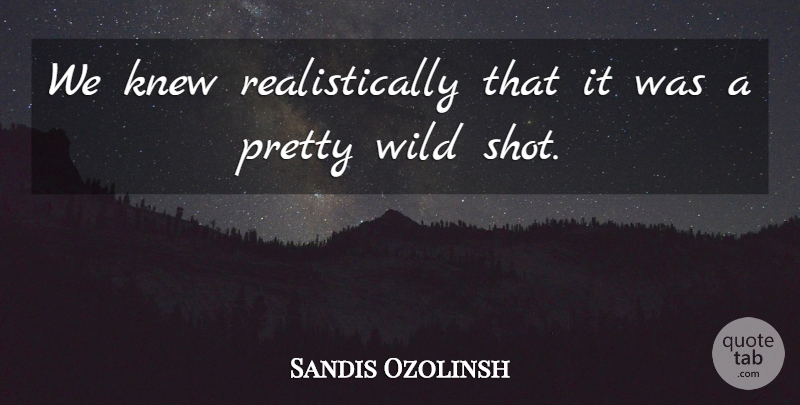 Sandis Ozolinsh Quote About Knew, Wild: We Knew Realistically That It...