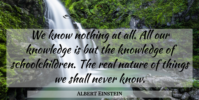 Albert Einstein Quote About Real, Knowledge, Knows: We Know Nothing At All...