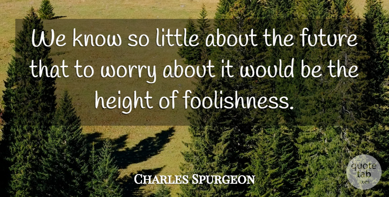 Charles Spurgeon Quote About Christian, Worry, Littles: We Know So Little About...