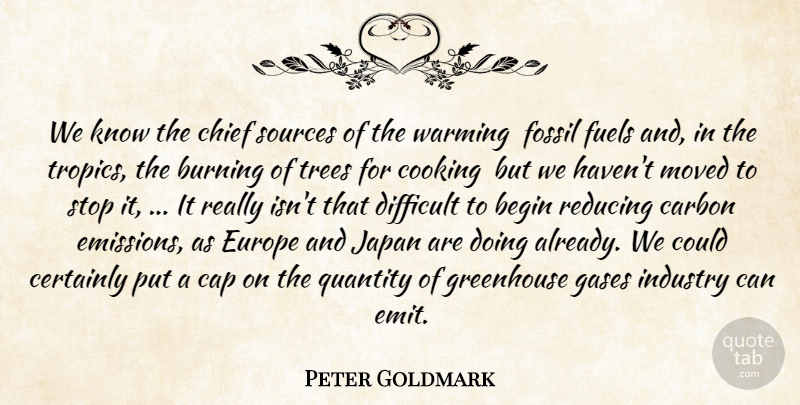 Peter Goldmark Quote About Begin, Burning, Cap, Carbon, Certainly: We Know The Chief Sources...