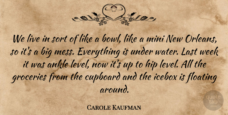 Carole Kaufman Quote About Ankle, Cupboard, Floating, Hip, Last: We Live In Sort Of...