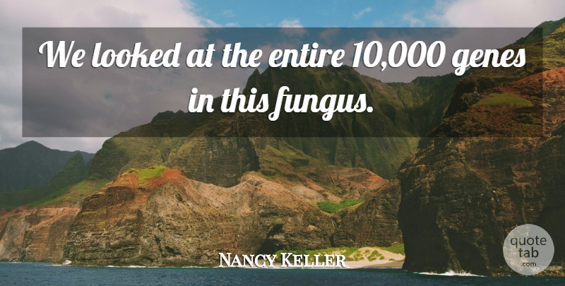 Nancy Keller Quote About Entire, Genes, Looked: We Looked At The Entire...