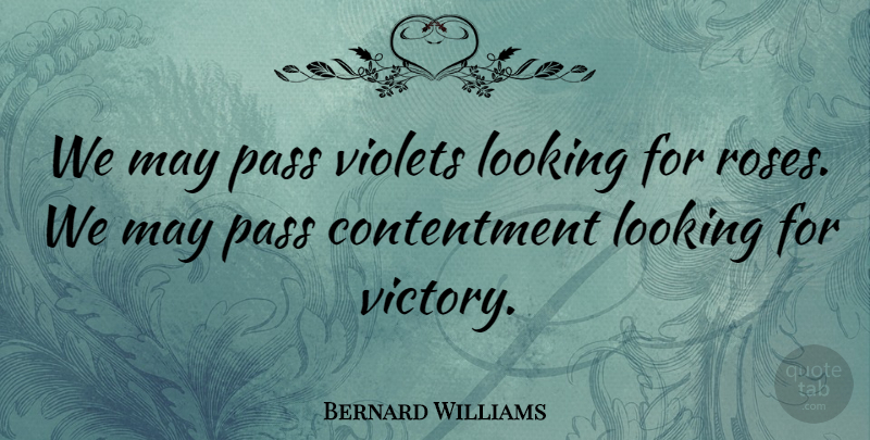 Bernard Williams Quote About Success, Rose, Victory: We May Pass Violets Looking...