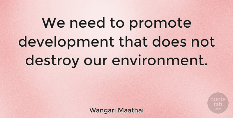 Wangari Maathai Quote About Development, Doe, Needs: We Need To Promote Development...