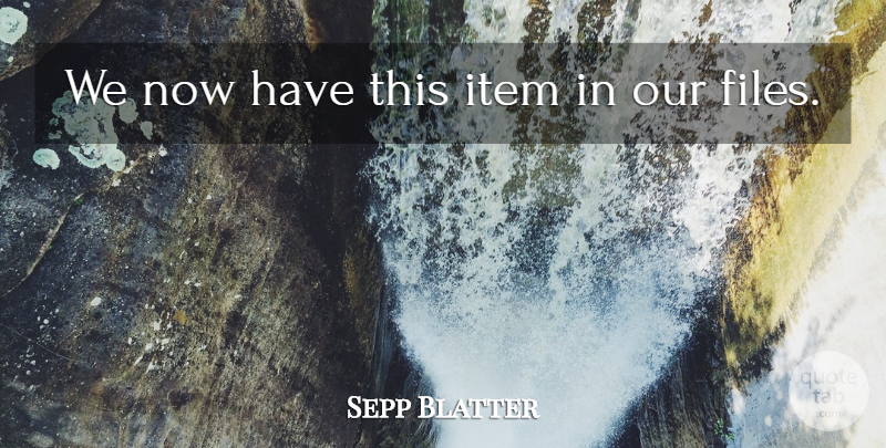 Sepp Blatter Quote About Item: We Now Have This Item...