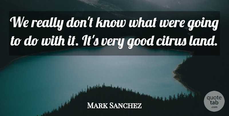 Mark Sanchez Quote About Good, Land: We Really Dont Know What...
