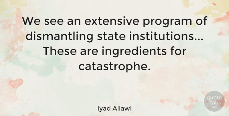 Iyad Allawi Quote About undefined: We See An Extensive Program...