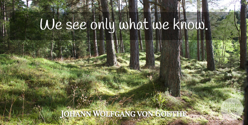 Johann Wolfgang von Goethe Quote About Science, Knows: We See Only What We...