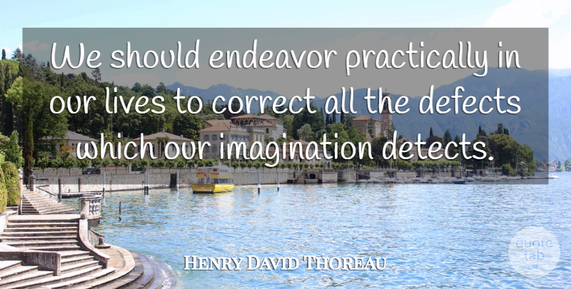 Henry David Thoreau Quote About Imagination, Reform, Endeavor: We Should Endeavor Practically In...