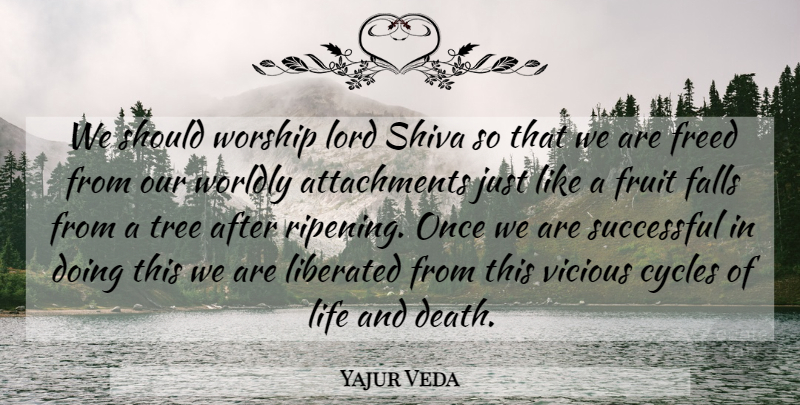 Yajur Veda Quote About Cycles, Falls, Freed, Fruit, Liberated: We Should Worship Lord Shiva...