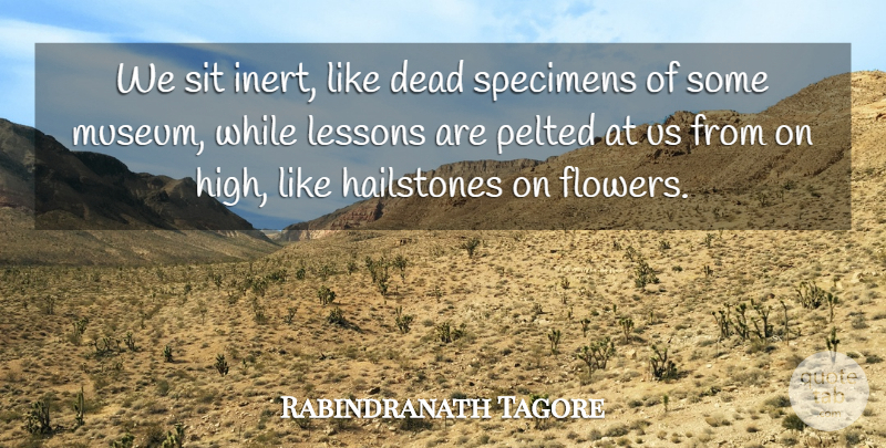 Rabindranath Tagore Quote About Education, Flower, Museums: We Sit Inert Like Dead...